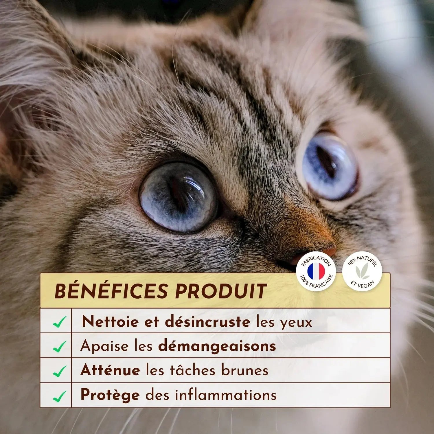 Gelee Nettoyante – Œil de lynx DEXTER & MANGO