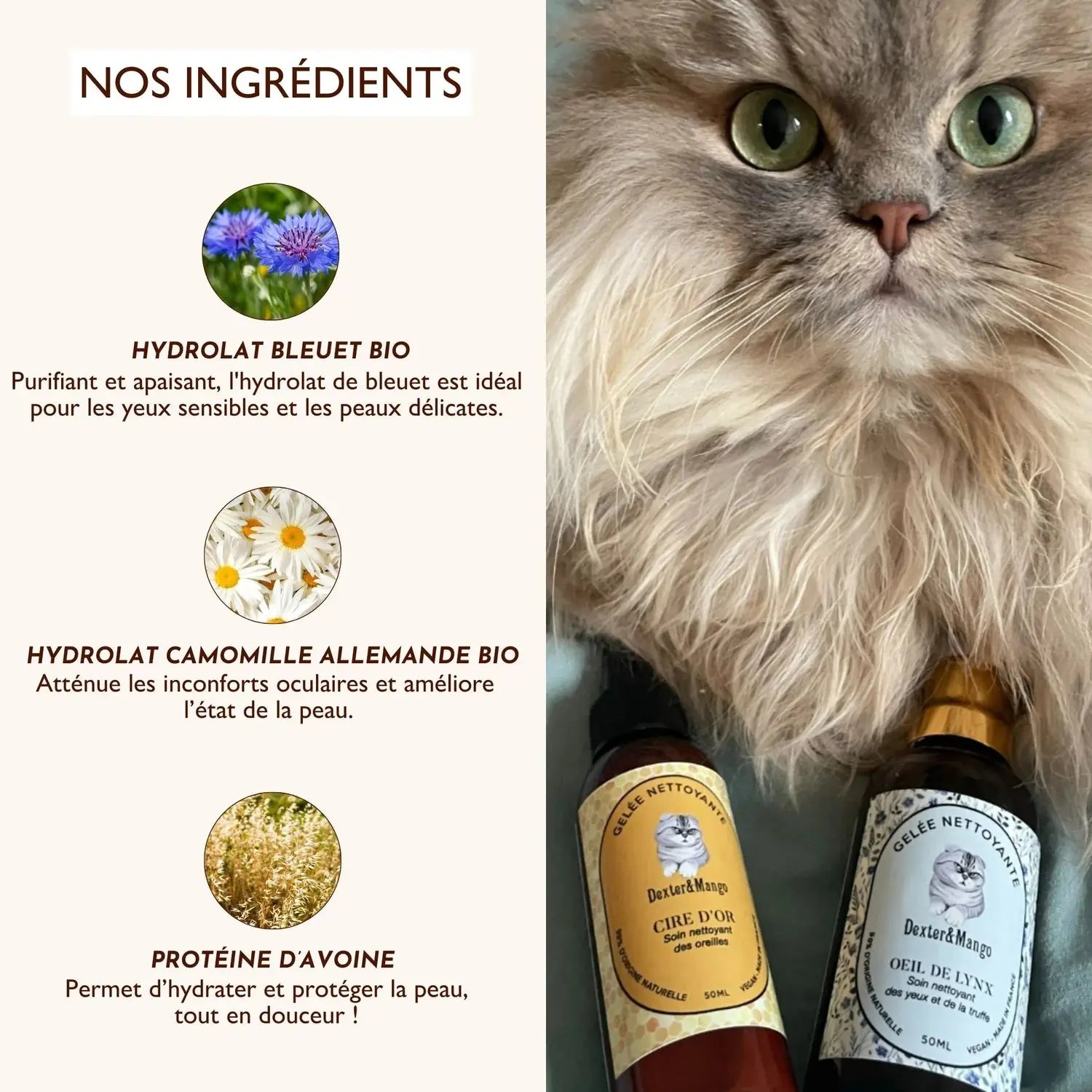 Gelee Nettoyante – Œil de lynx DEXTER & MANGO