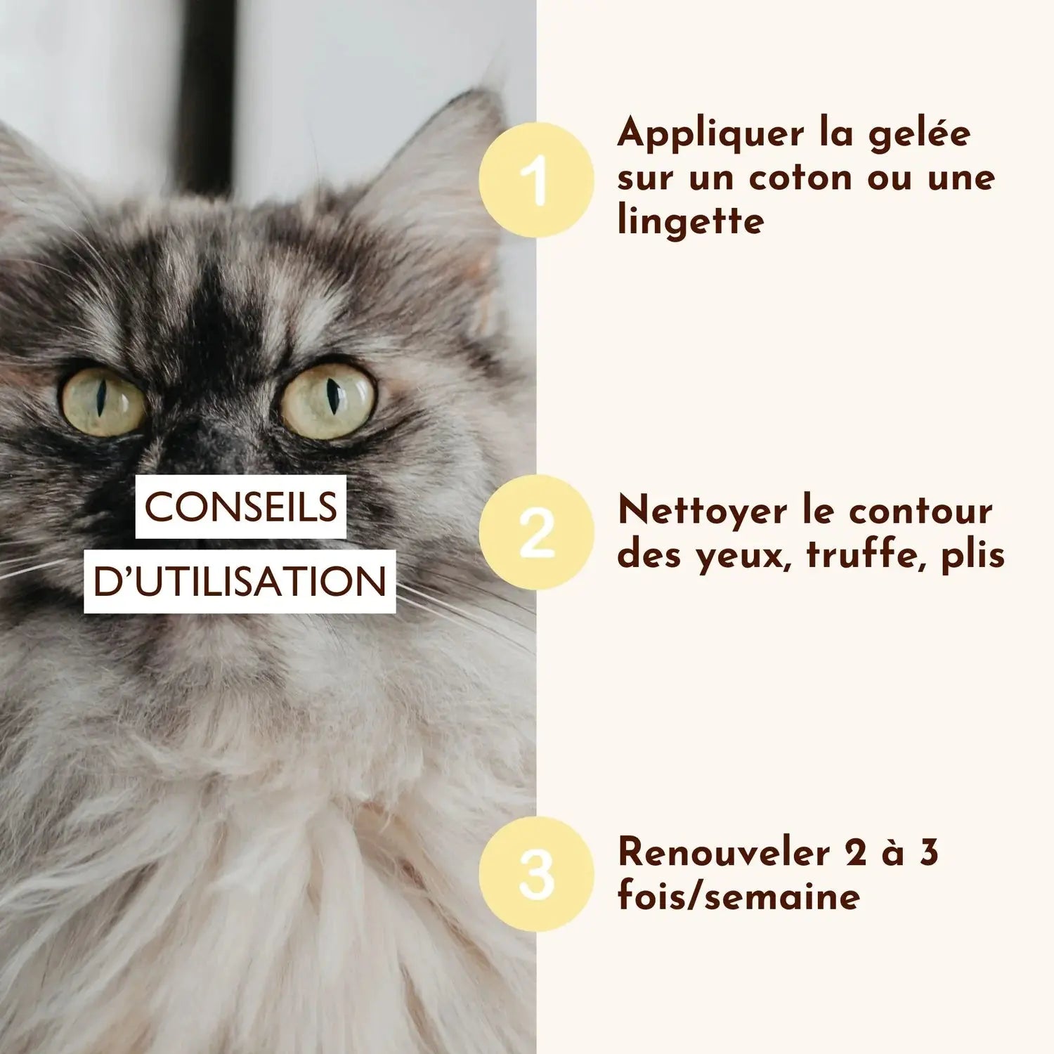 Gelee Nettoyante – Œil de lynx DEXTER & MANGO