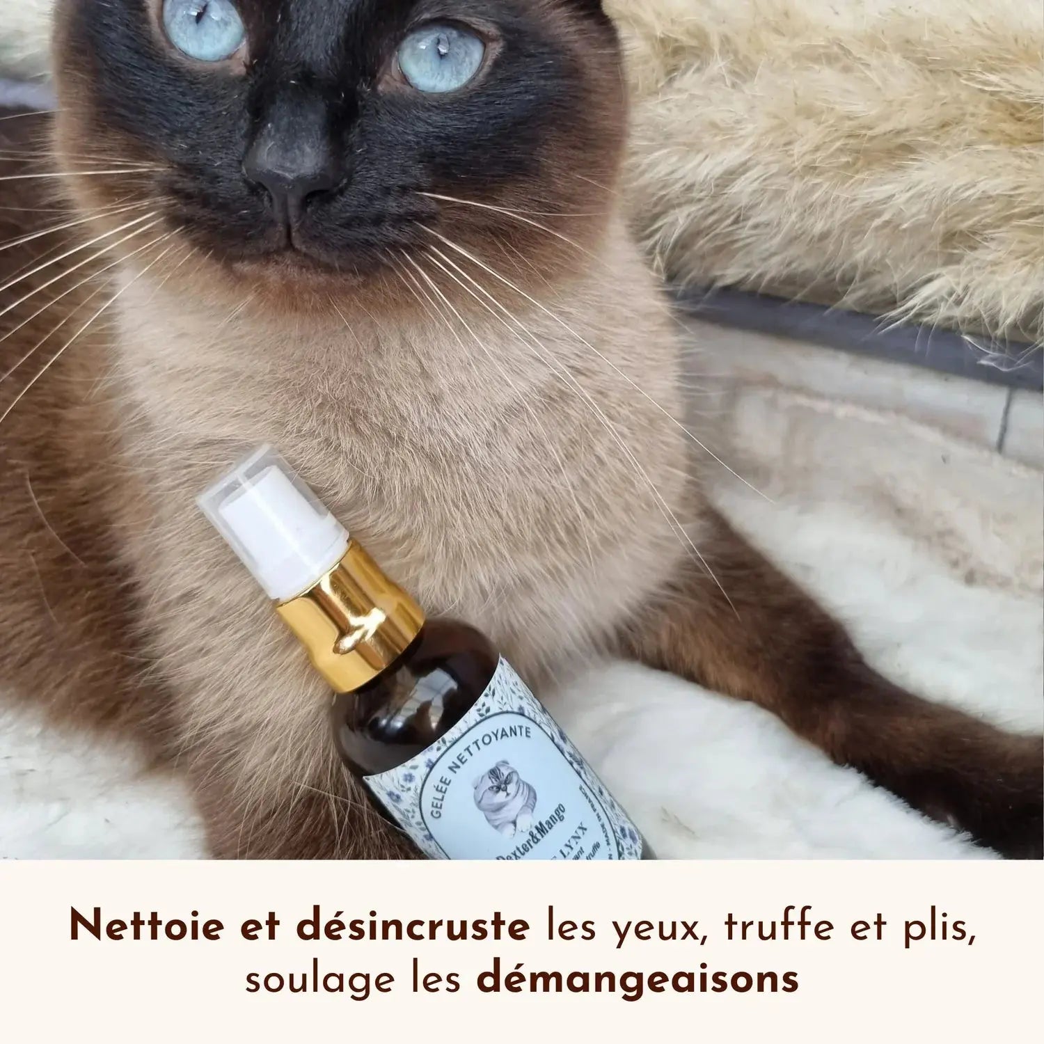 Gelee Nettoyante – Œil de lynx DEXTER & MANGO