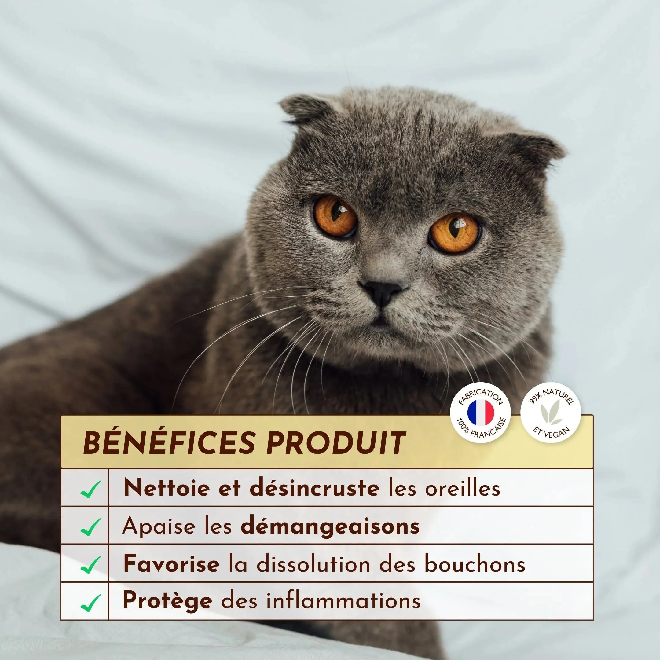 Gelee nettoyante – Cire d'or DEXTER & MANGO