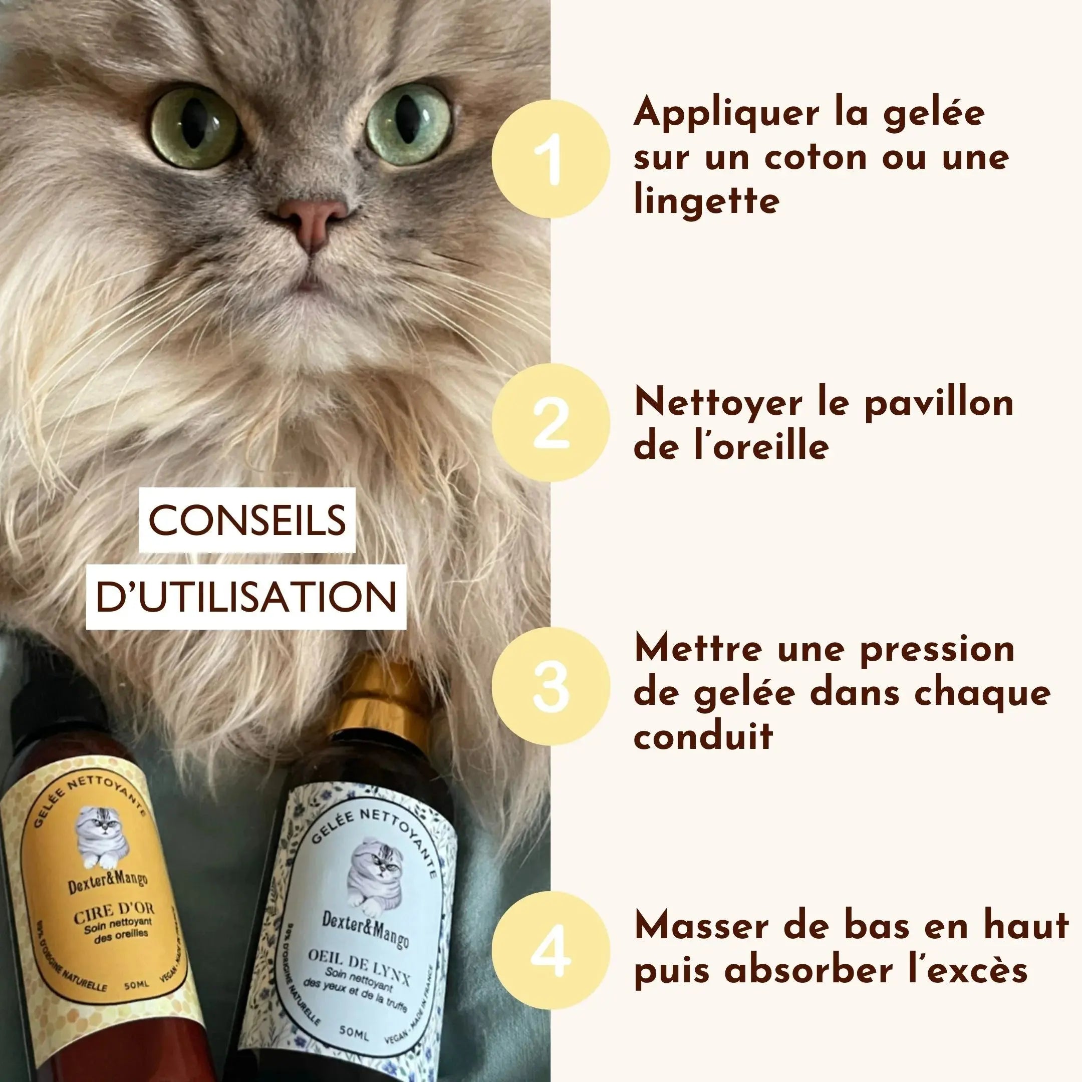 Gelee nettoyante – Cire d'or DEXTER & MANGO