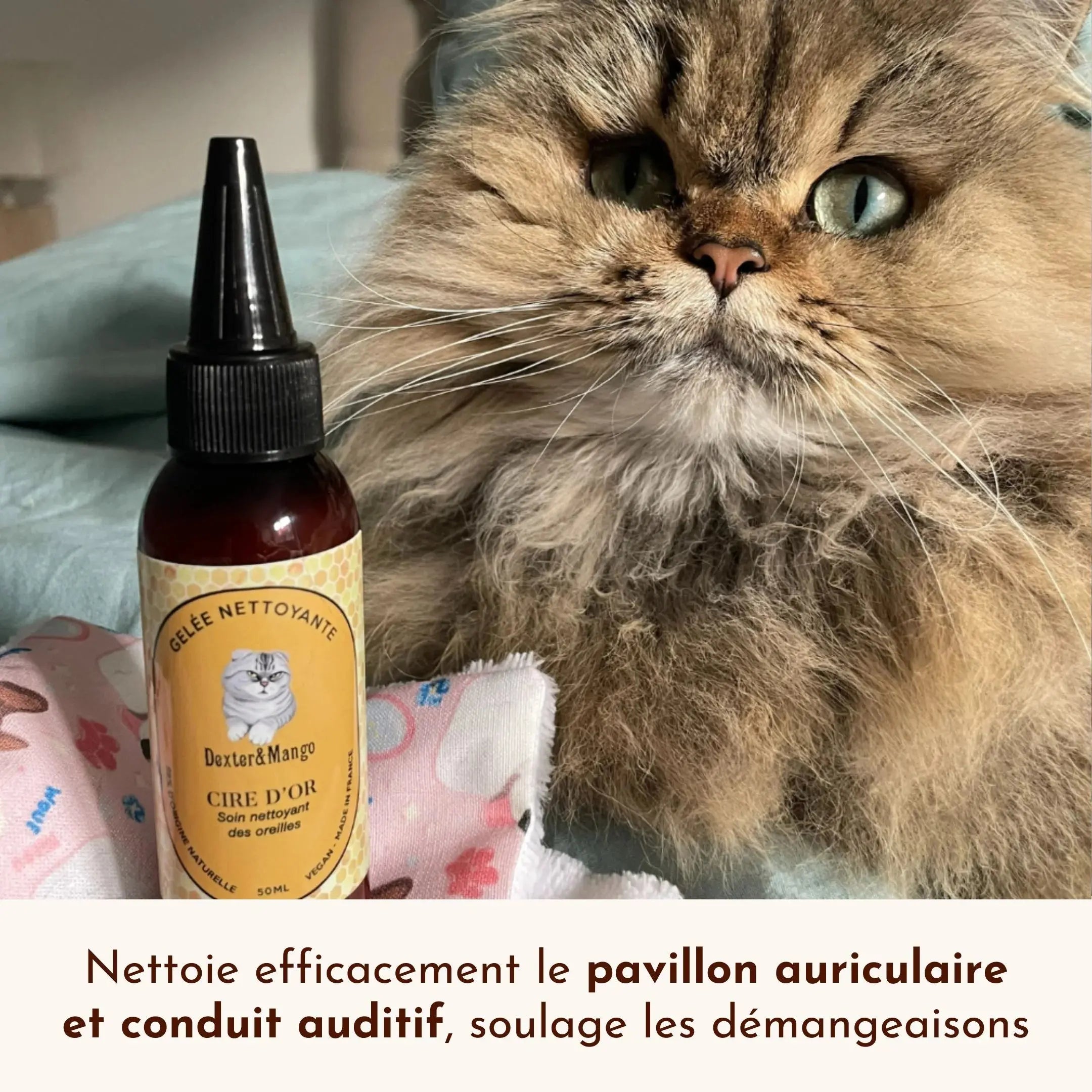 Gelee nettoyante – Cire d'or DEXTER & MANGO