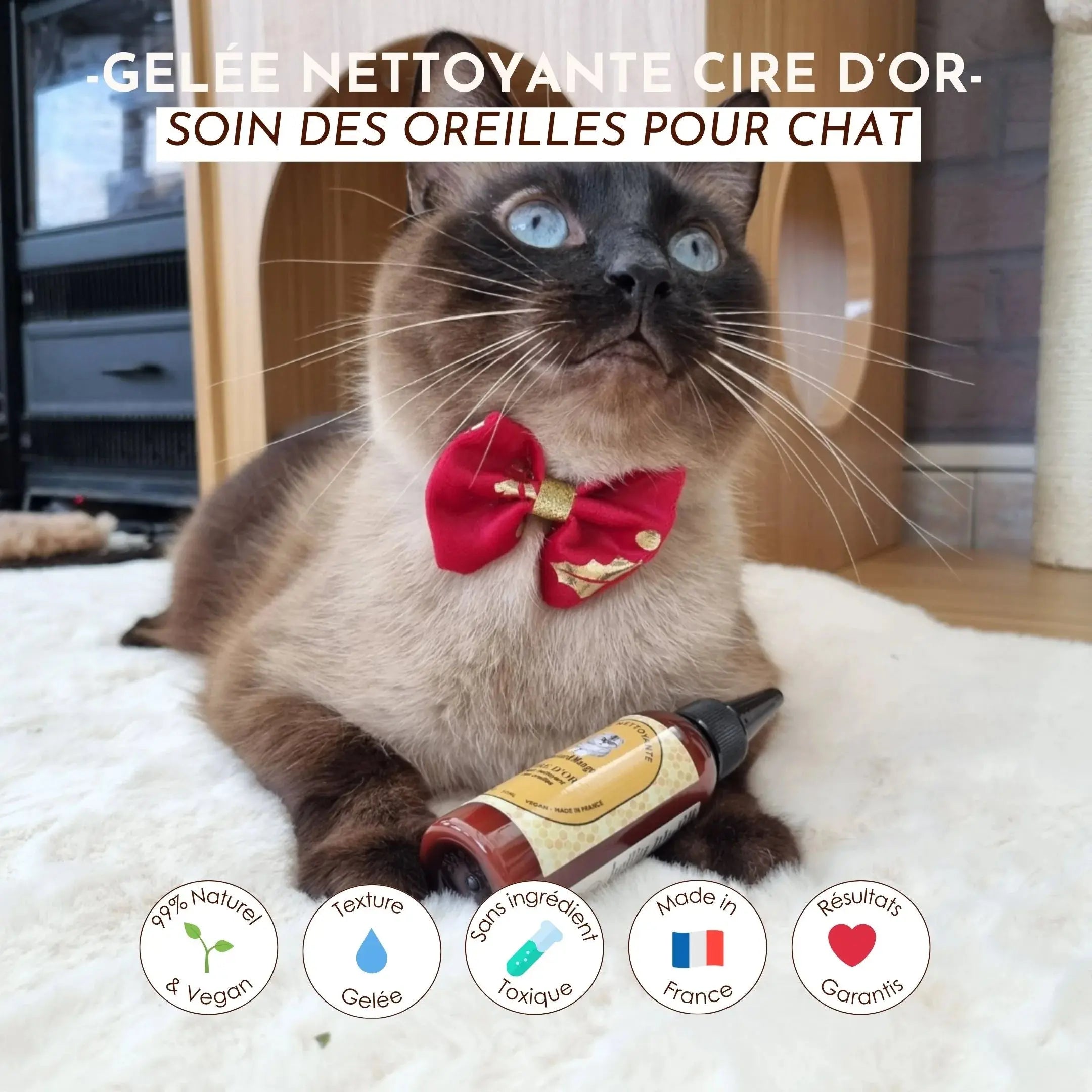 Gelee nettoyante – Cire d'or DEXTER & MANGO