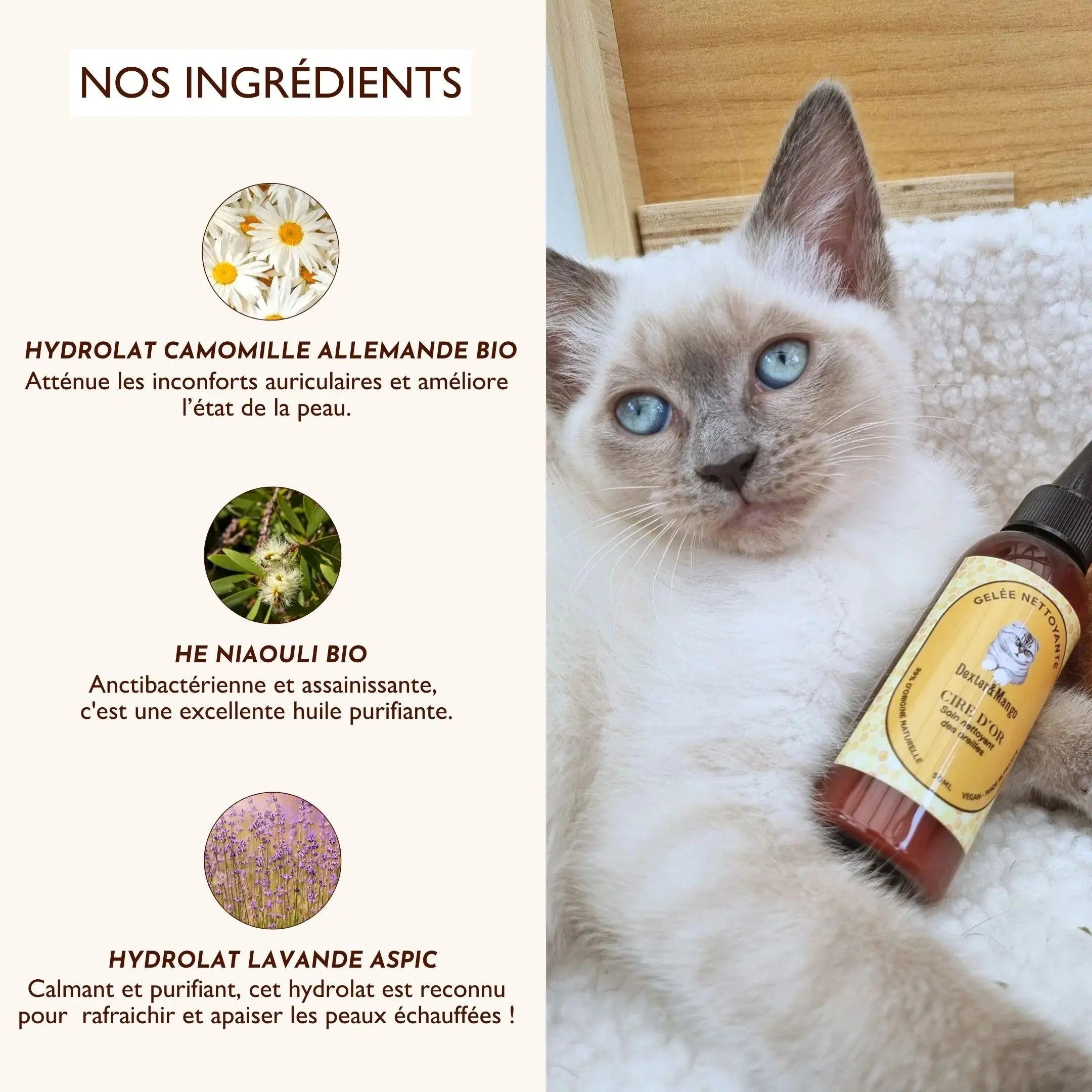 Gelee nettoyante – Cire d'or DEXTER & MANGO