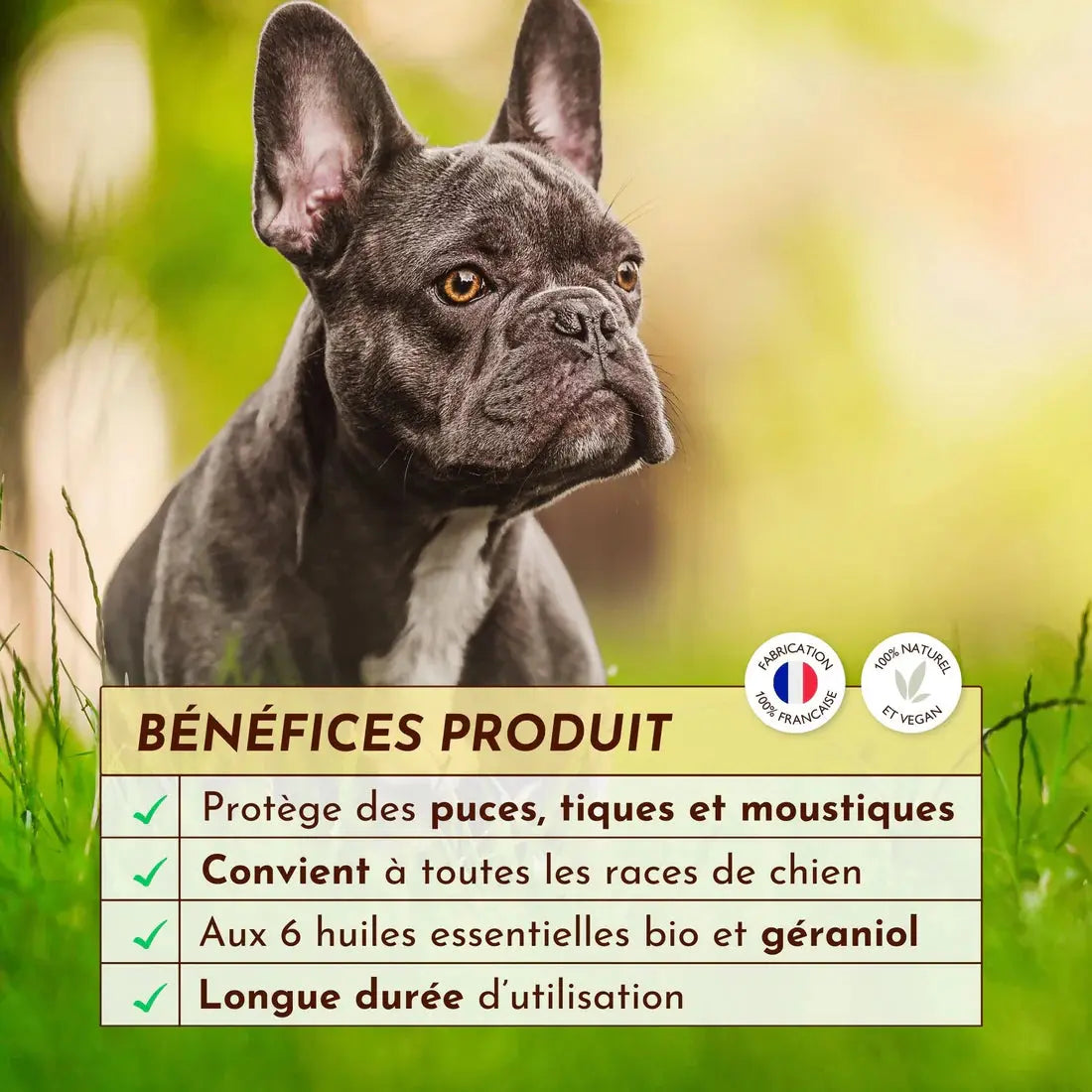 Huile antiparasitaire, élixir Fèléfuir DEXTER & MANGO