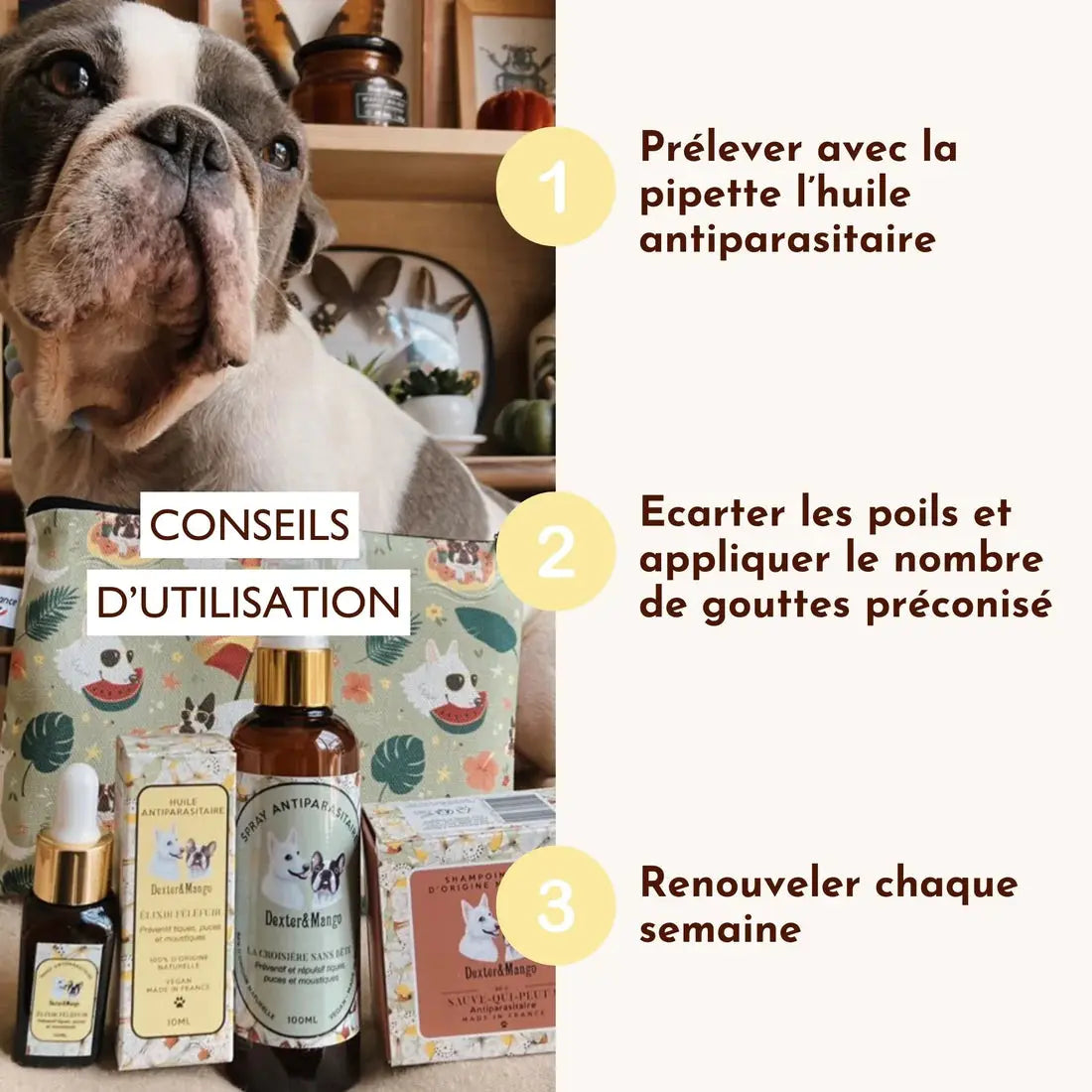 Huile antiparasitaire, élixir Fèléfuir DEXTER & MANGO