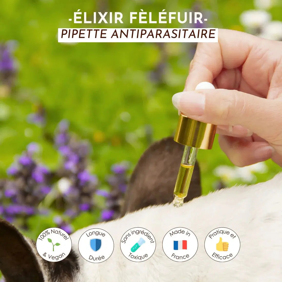 Huile antiparasitaire, élixir Fèléfuir DEXTER & MANGO