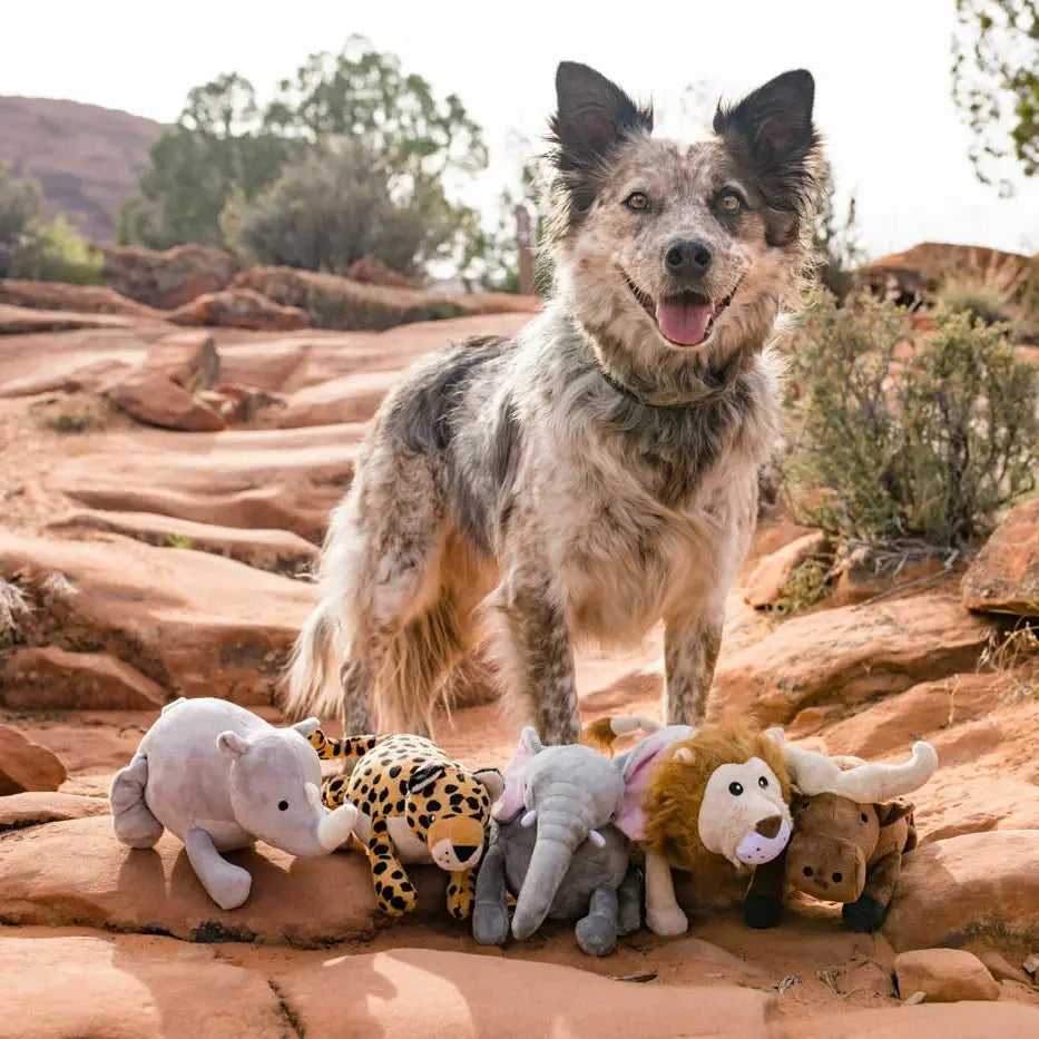 Jouet Big Five -Elephant - Pet Play PET PLAY