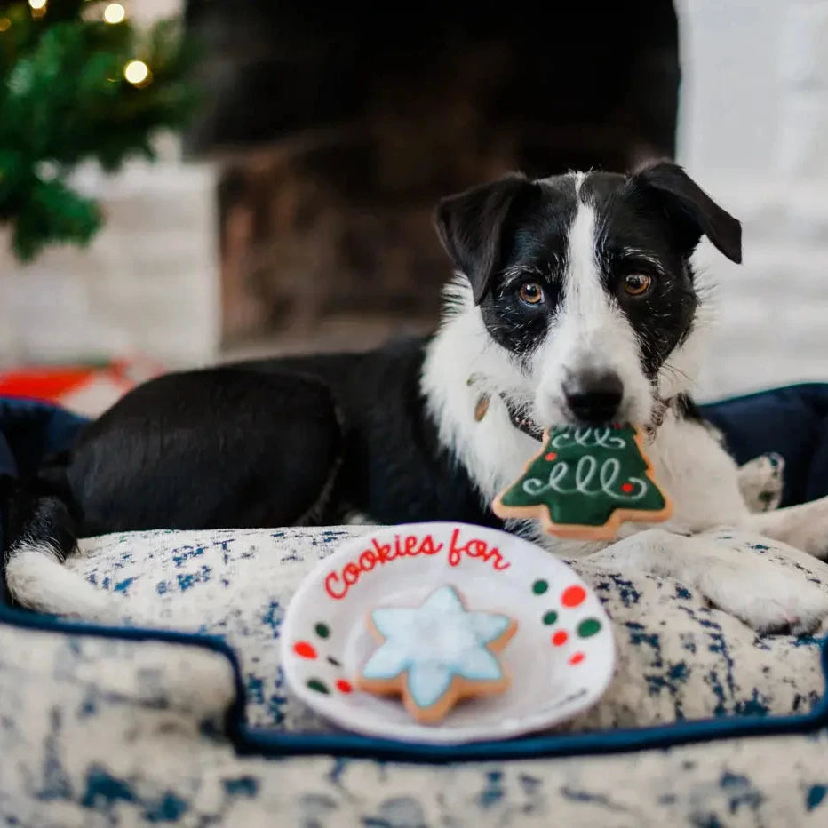 Jouet Chien - Cookies du Père Noël - PETPLAY PET PLAY