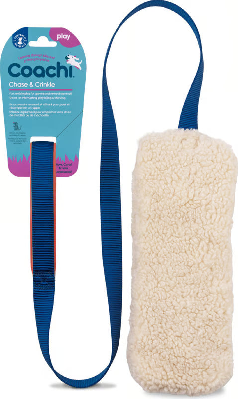 Jouet Coachi Chase & Crinkle COACHI