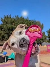 Jouet à lécher – Bâton cible à lécher SODAPUP