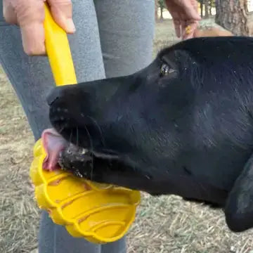 Jouet a lecher –Bâton cible à lécher SODAPUP