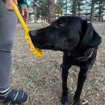 Jouet a lecher –Bâton cible à lécher SODAPUP