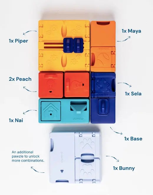 Jouet d’intelligence – Genuis set PAWZLER