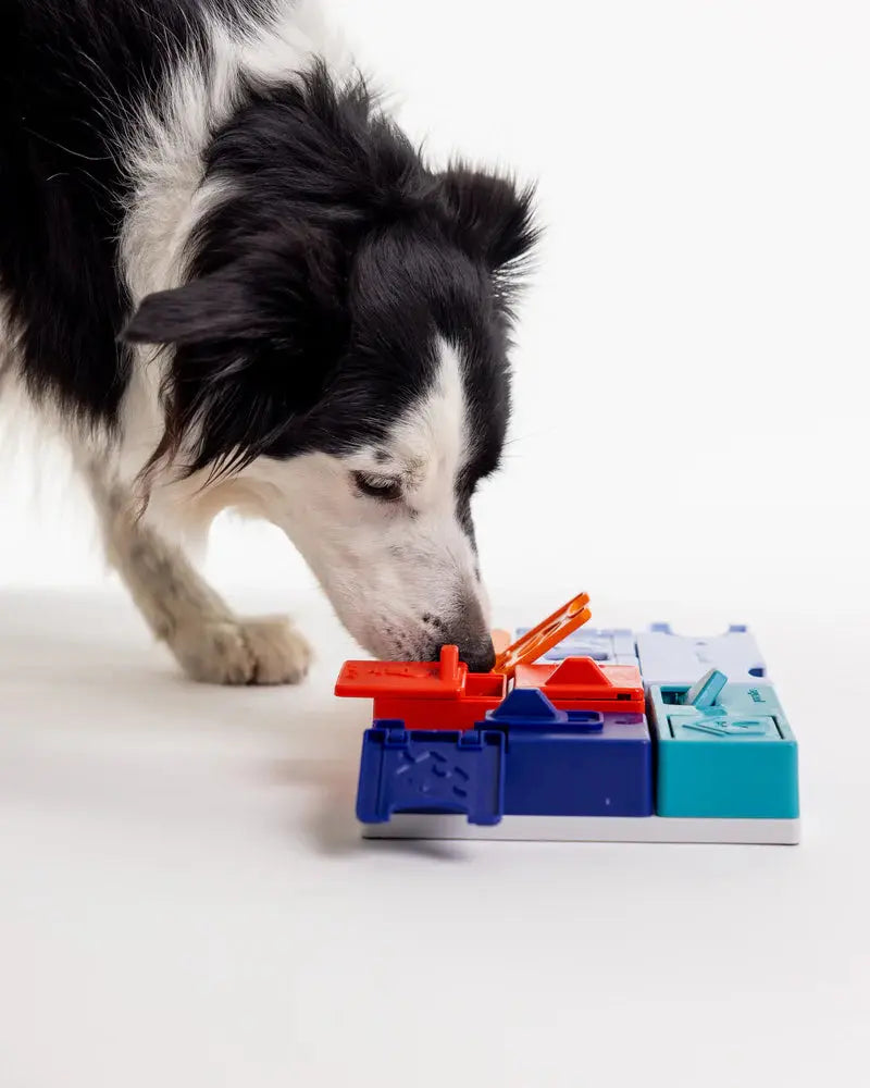 Jouet d’intelligence – Genuis set PAWZLER