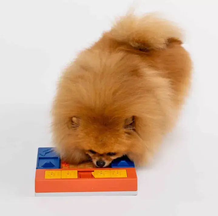 Jouet d’intelligence – Kit débutant PAWZLER