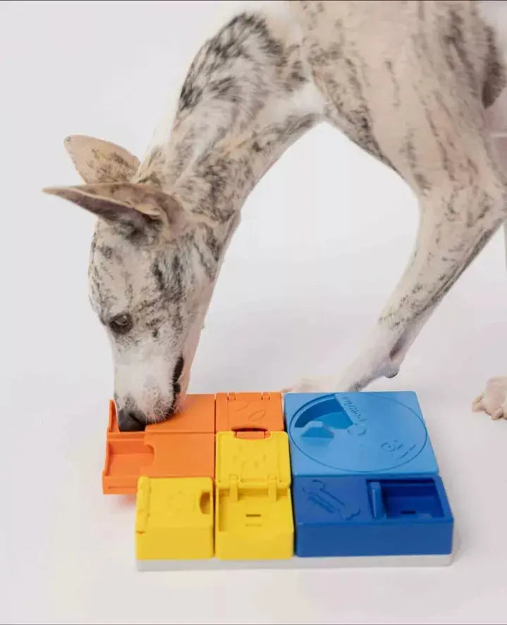 Jouet d’intelligence – Kit d'extension PAWZLER