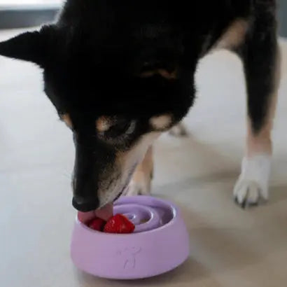 Jouet d’occupation - Yoomy Wobble INOOKO