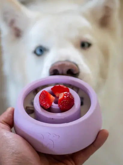 Jouet d’occupation - Yoomy Wobble INOOKO