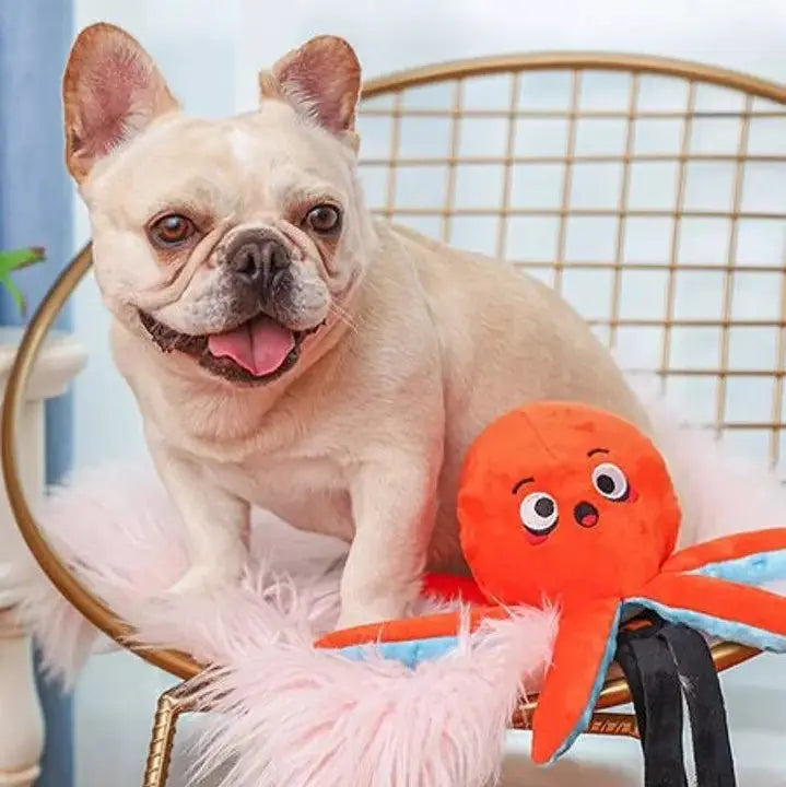 Jouet d’occupation – Ocean Pals Octopus HUGSMART