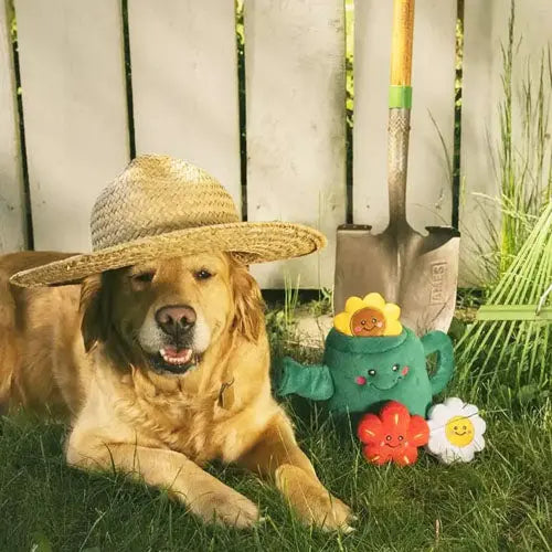 Jouet enrichissement – Watering Can ZIPPYPAWS