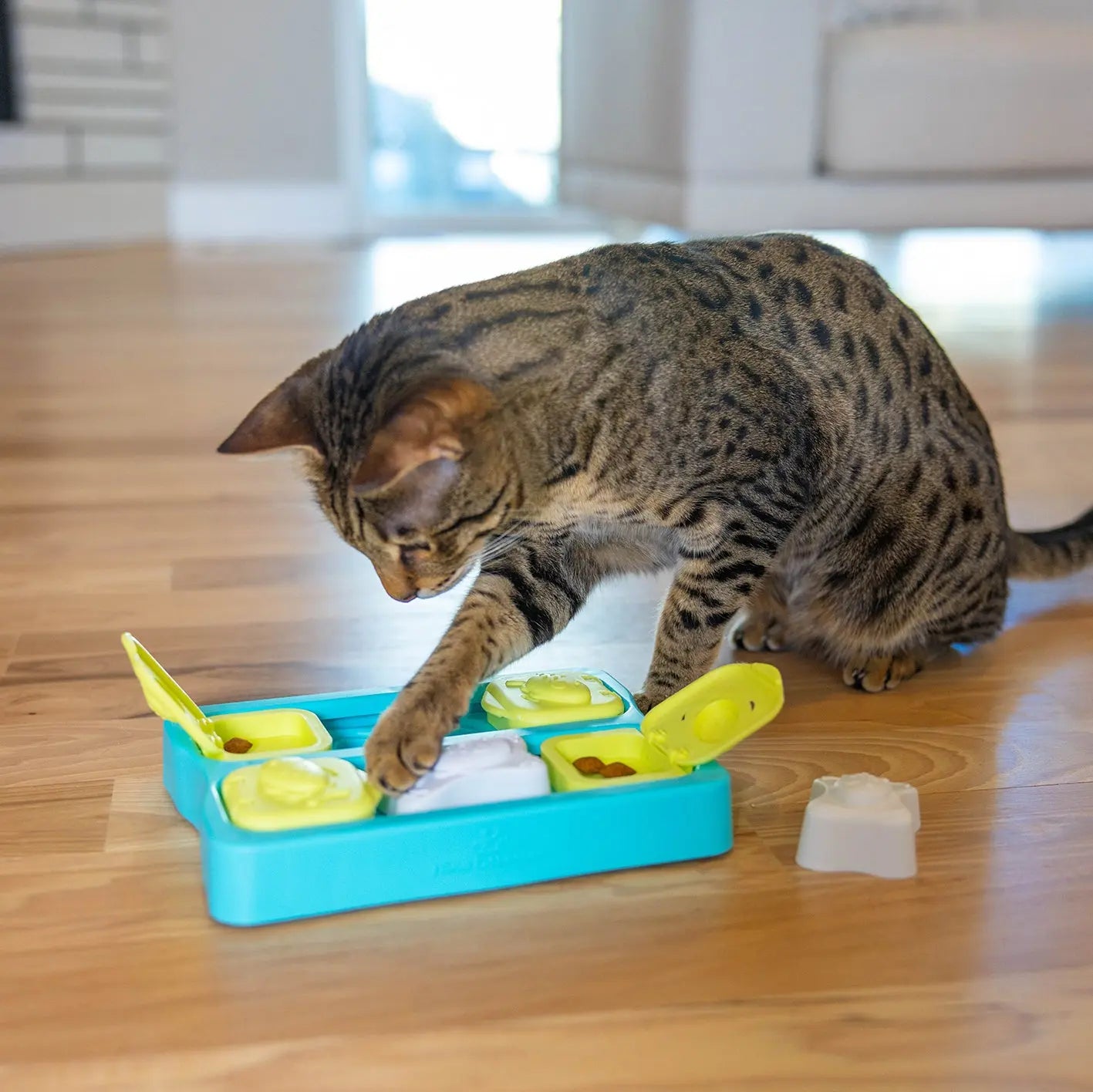 Jouet interactif - Kitty Cubes NINA OTTOSSON