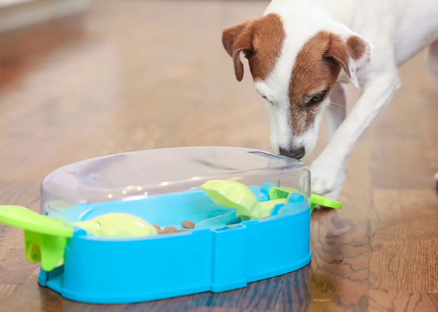 Jouet interactif - Paw N' Play NINA OTTOSSON