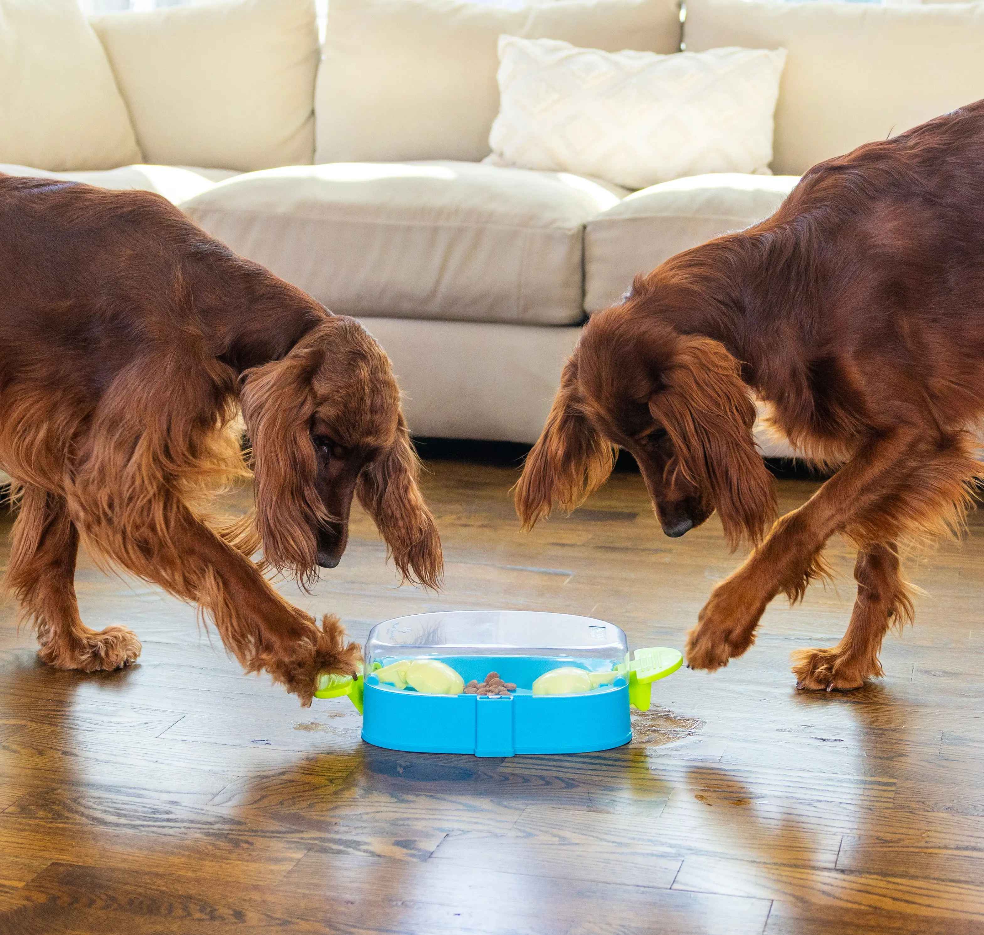 Jouet interactif - Paw N' Play NINA OTTOSSON