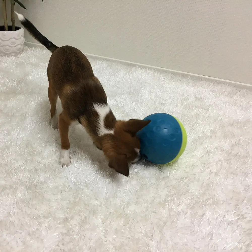 Jouet interactif - Treat Tumble NINA OTTOSSON