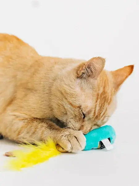 Jouet pour chat - 3 Wine - Pet PLAY PET PLAY