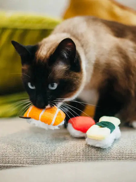 Jouet pour chat - Sushi - Pet PLAY PET PLAY