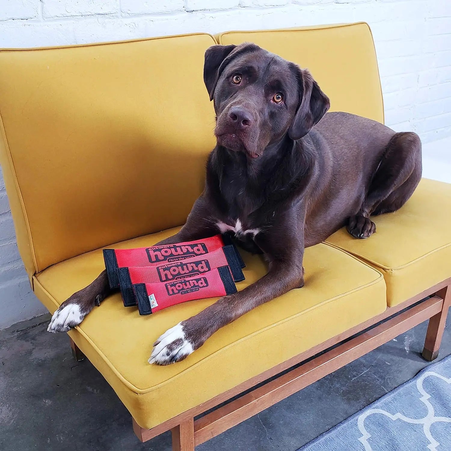 Jouet pour chien FireHose Fetch SODAPUP