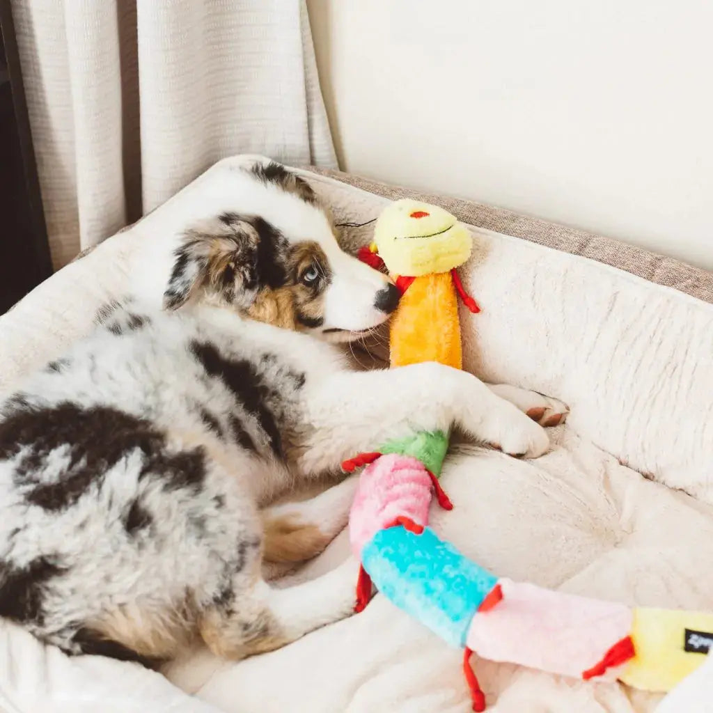 Jouet pour chien- mille pattes - Zippy Paws ZIPPYPAWS