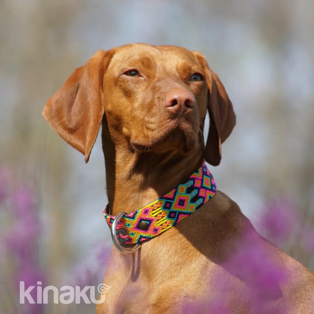 KINAKÚ - Collier tissé à la main, unique KINAKÚ