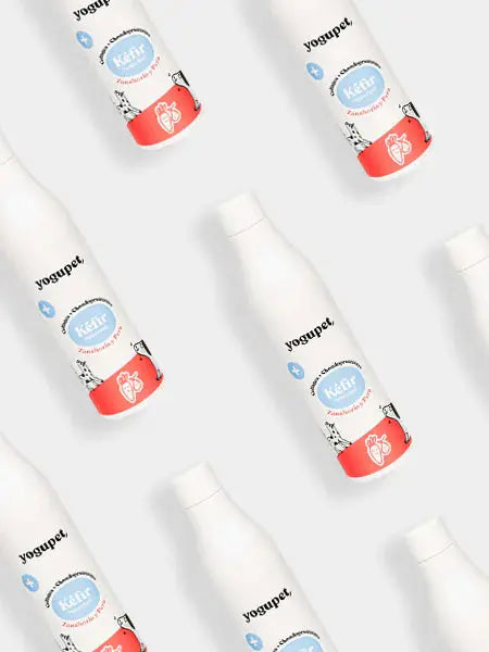 Kéfir Carotte poire- Yogupet (Copie) YOGUPET