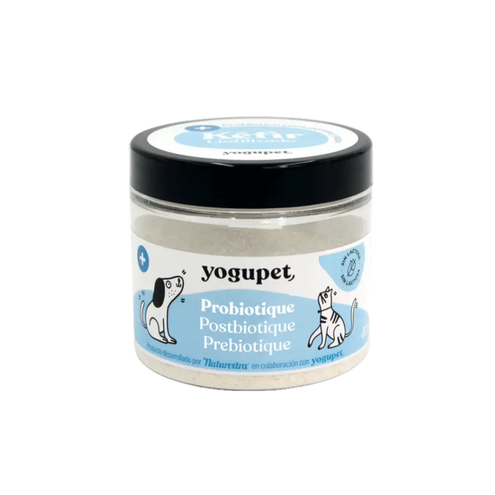 Kéfir lyophilisé -Digestif- Yogupet YOGUPET