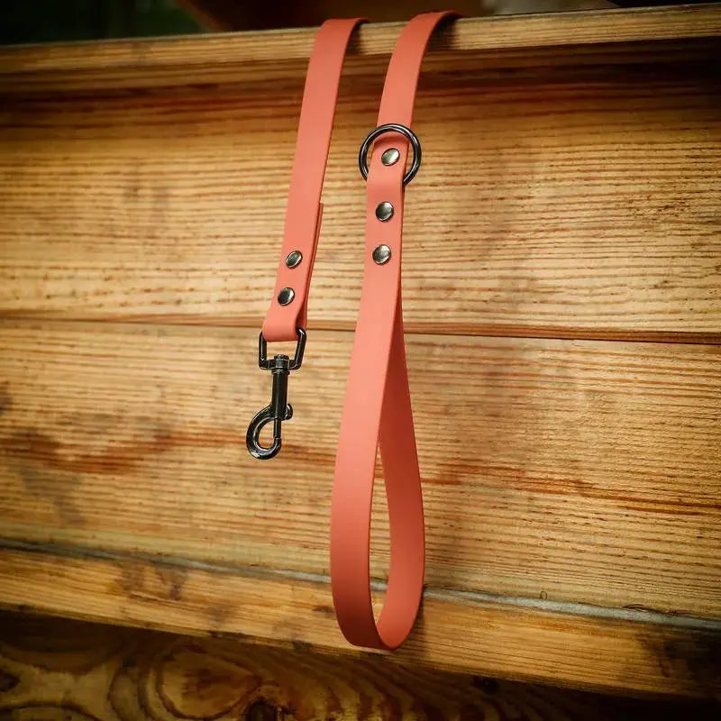 Laisse Personnalisée en Biothane DOG & CAT ETOILES