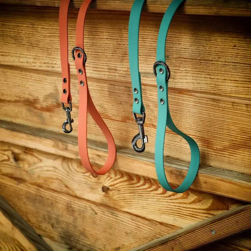 Laisse Personnalisée en Biothane DOG & CAT ETOILES