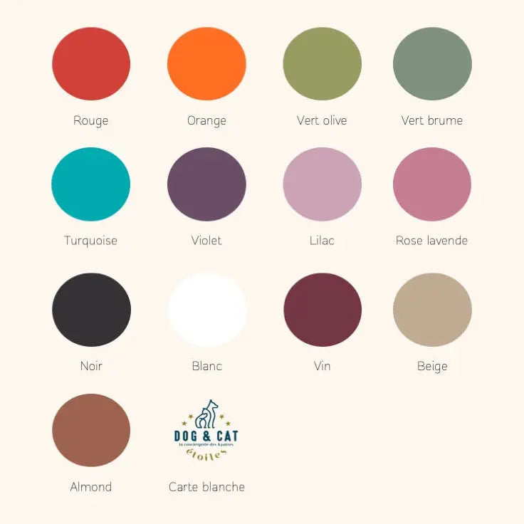 Laisse multipositions Personnalisée en PAWTEX DOG & CAT ETOILES