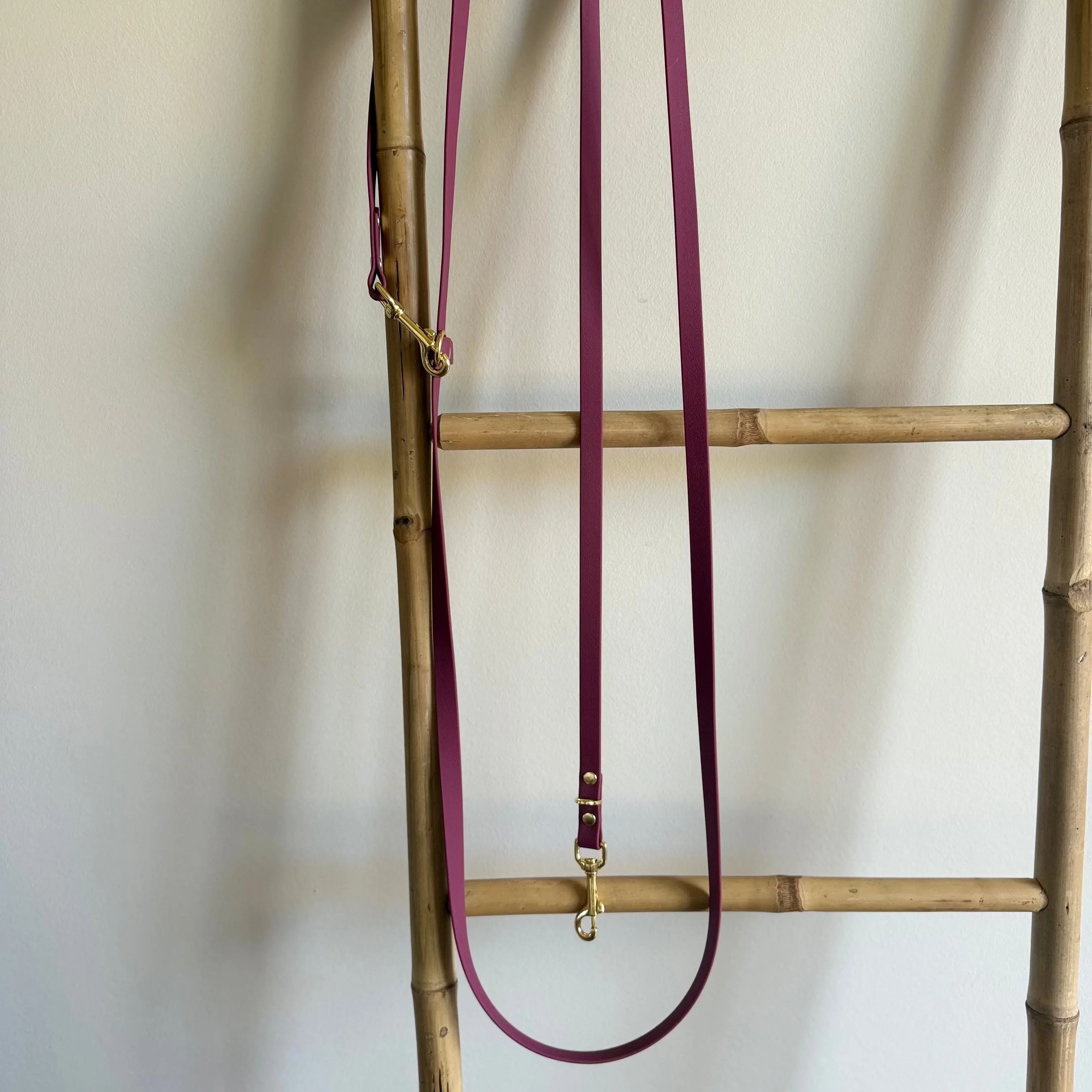 Laisse multipositions Personnalisée en PAWTEX DOG & CAT ETOILES