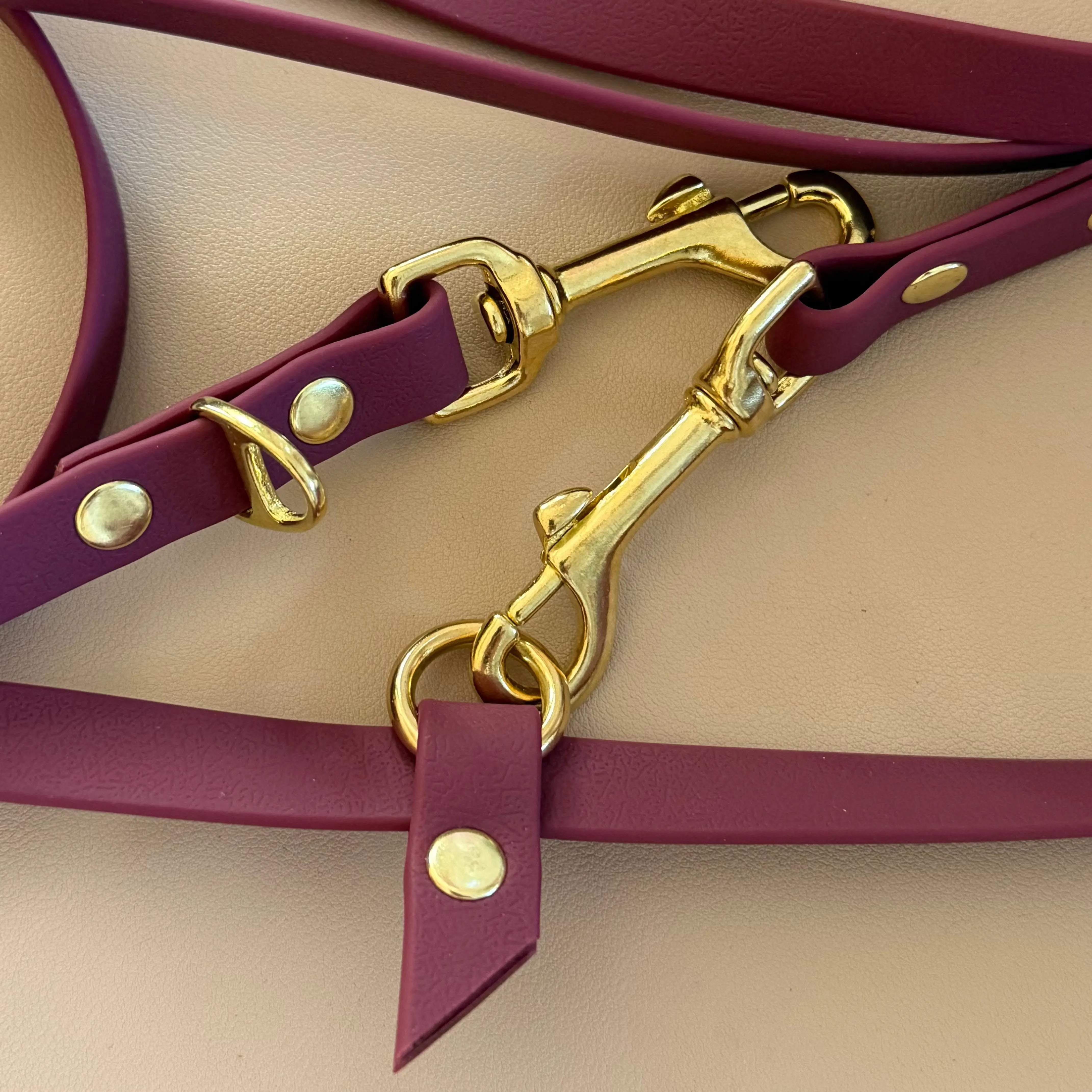 Laisse multipositions Personnalisée en PAWTEX DOG & CAT ETOILES