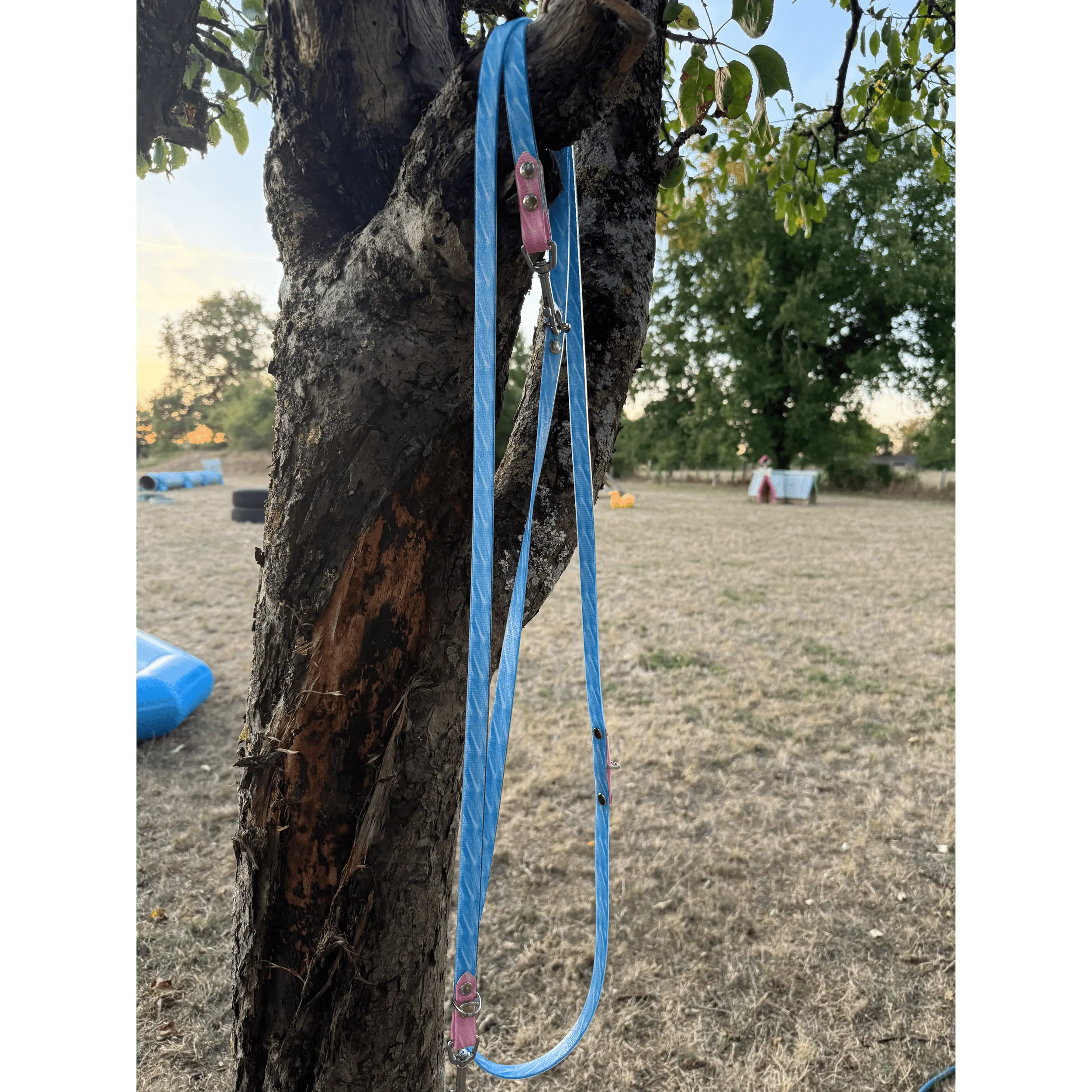 Laisse multipositions Personnalisée en TPU DOG & CAT ETOILES