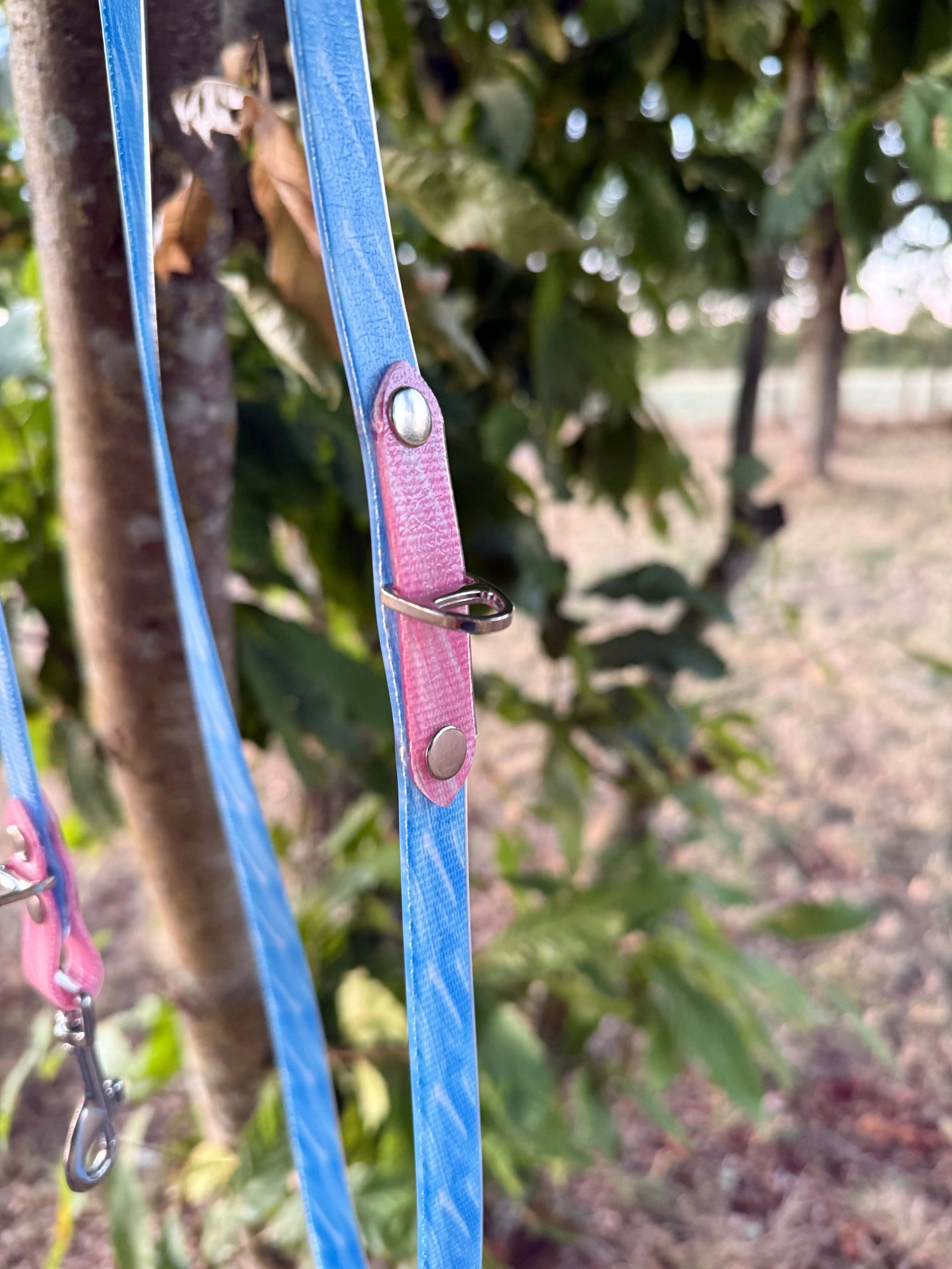 Laisse multipositions Personnalisée en TPU DOG & CAT ETOILES