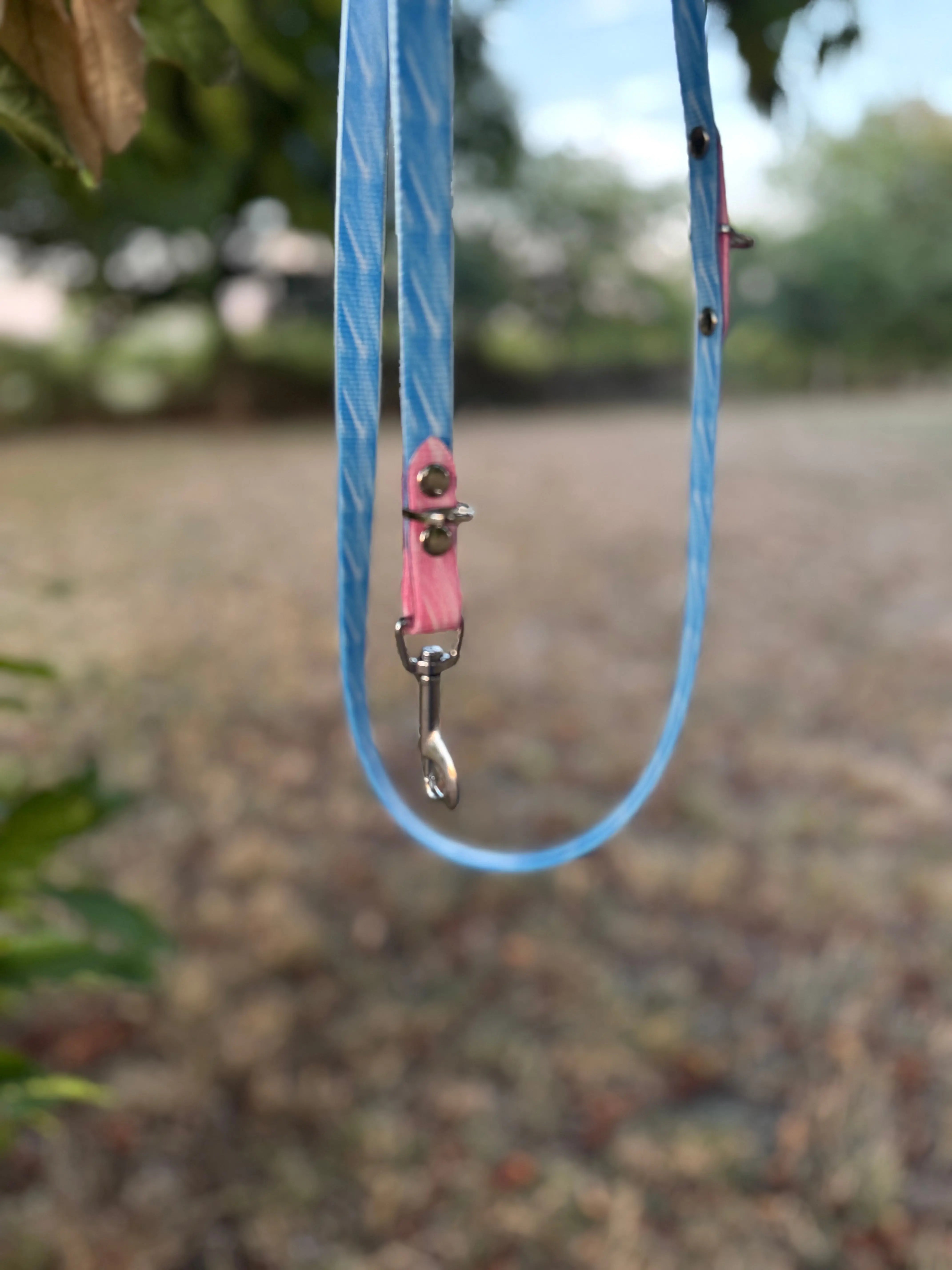 Laisse multipositions Personnalisée en TPU DOG & CAT ETOILES