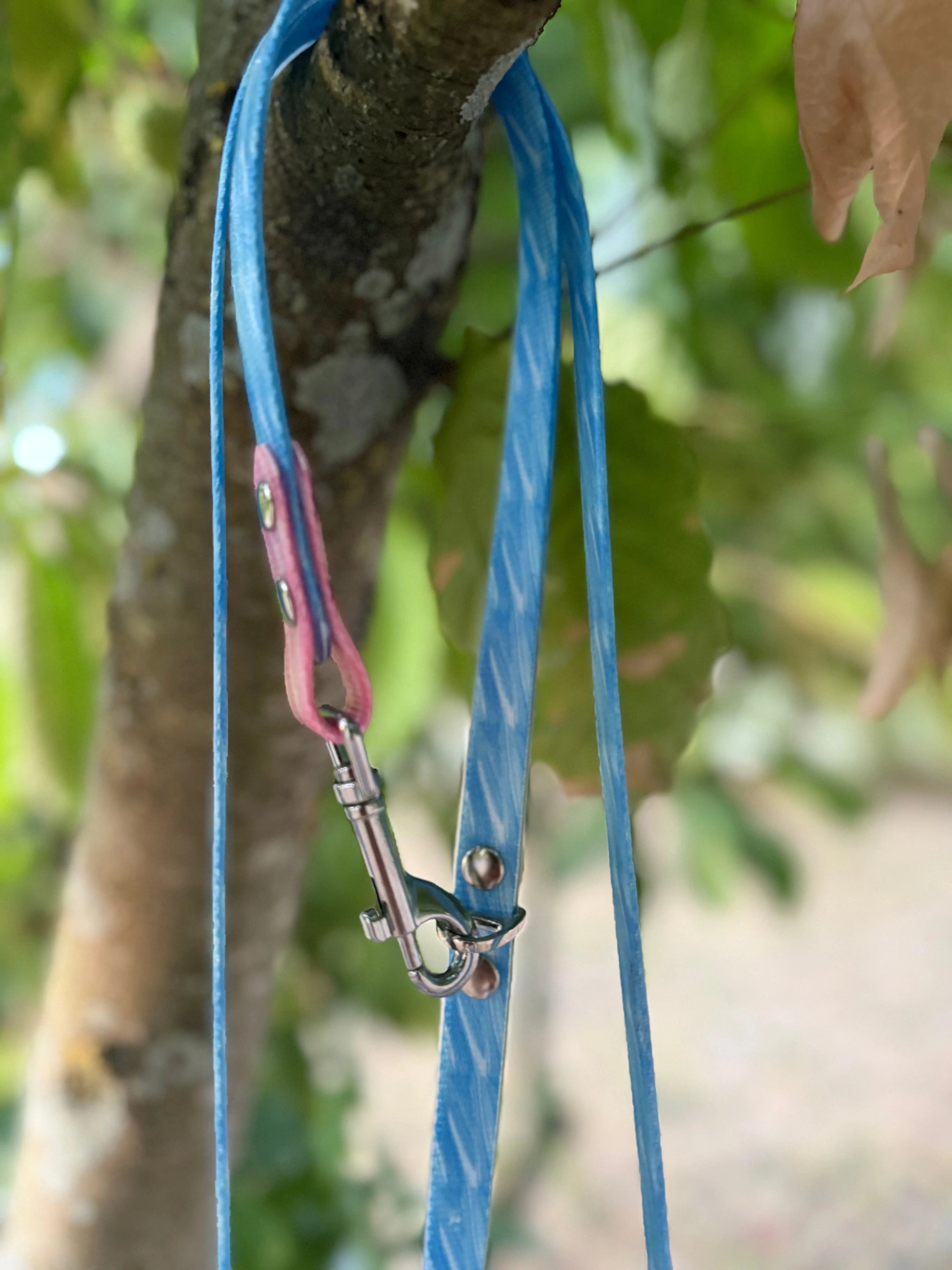 Laisse multipositions Personnalisée en TPU DOG & CAT ETOILES