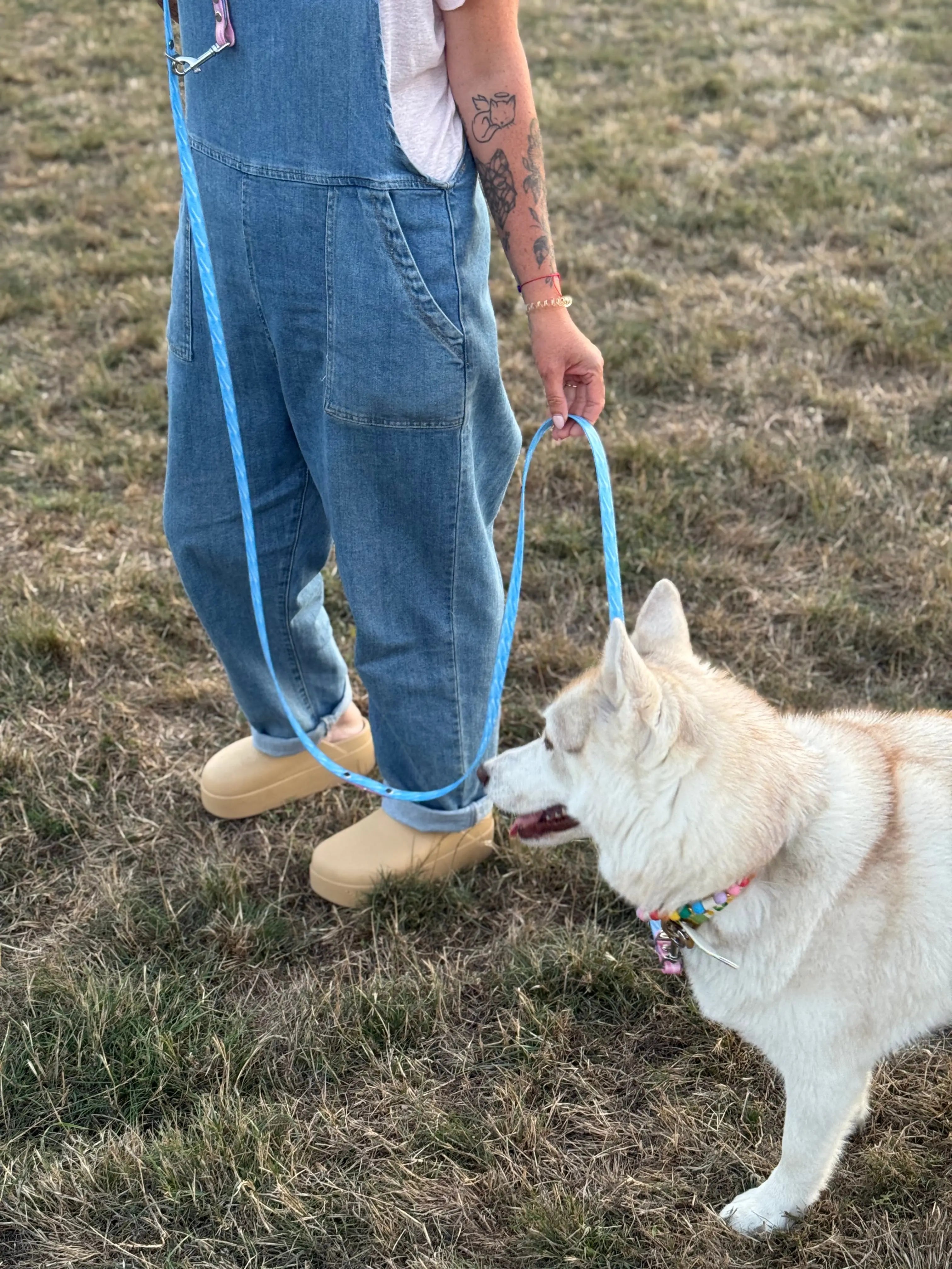 Laisse multipositions Personnalisée en TPU DOG & CAT ETOILES