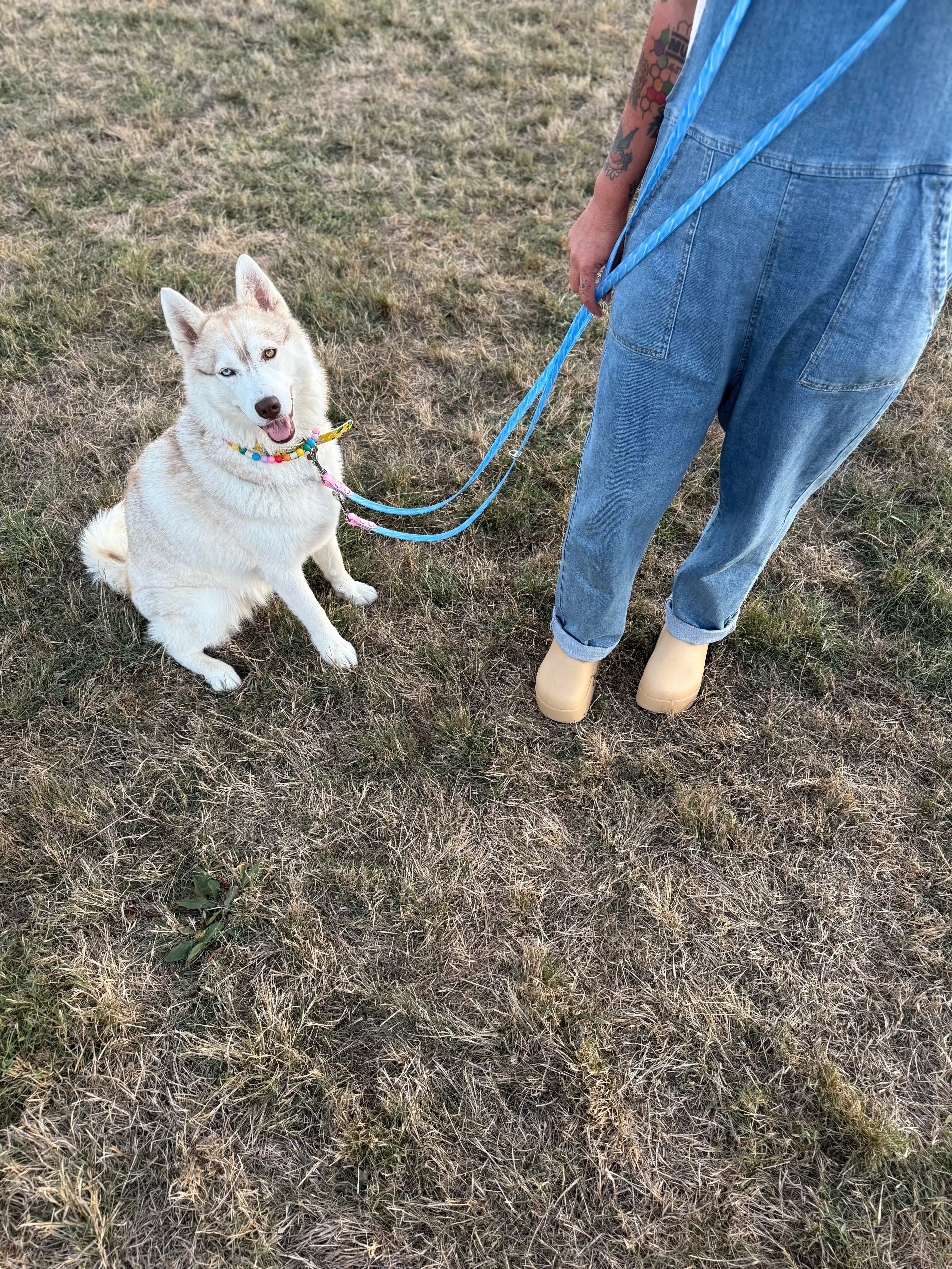 Laisse multipositions Personnalisée en TPU DOG & CAT ETOILES