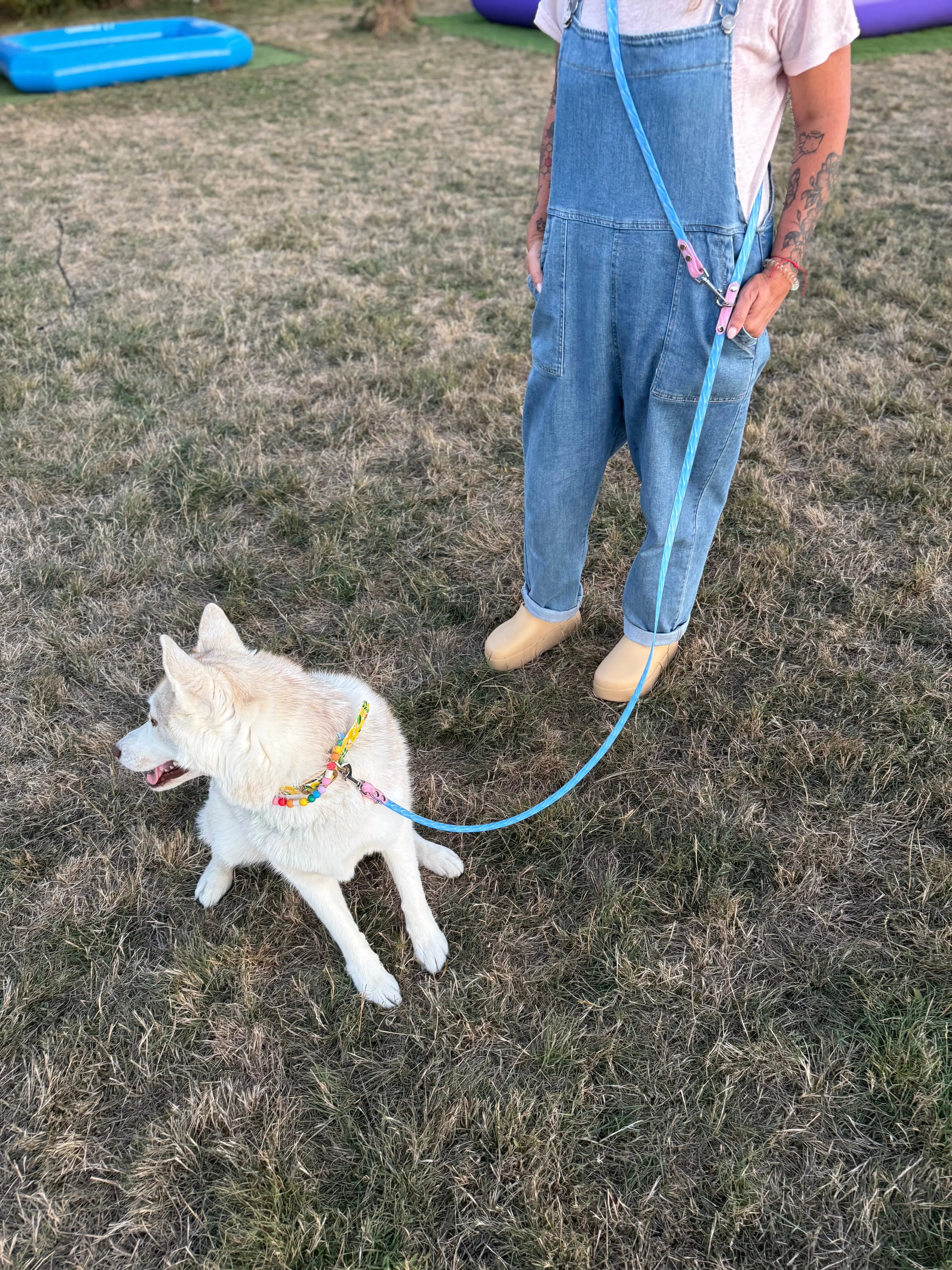 Laisse multipositions Personnalisée en TPU DOG & CAT ETOILES