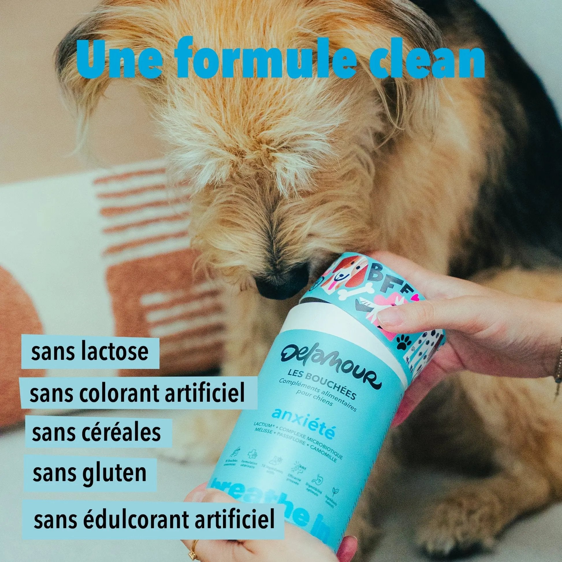 Les bouchées Anxiété DEXTER & MANGO